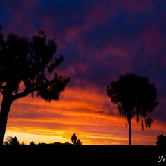 Outback sunset (454F15630)