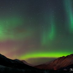 Northern lights (454F4470)
