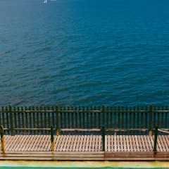 Sydney swimmer (454F5013)